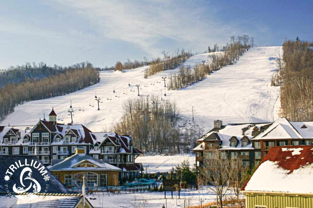 Mountainview Loft At North Creek Resort 블루마운틴 외부 사진